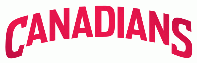 Vancouver Canadians 2008-2013 Wordmark Logo iron on heat transfer
